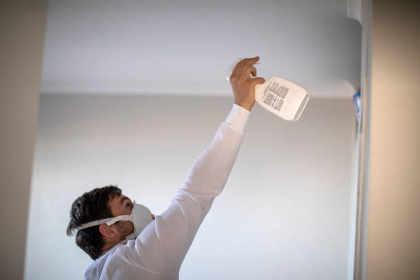 Best Local Mold Removal Service  in White House Station, NJ