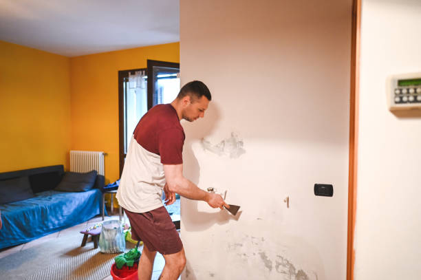 Best Mold Damage Repair  in White House Station, NJ